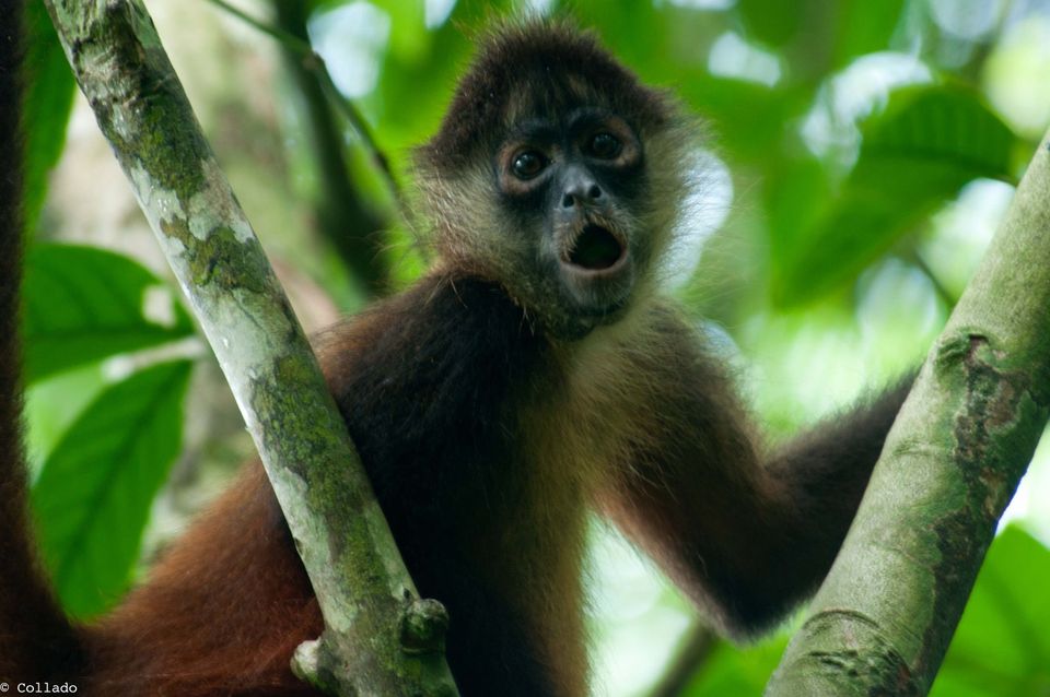 The best 5 reasons to visit Costa Rica in May and June Costa Rica