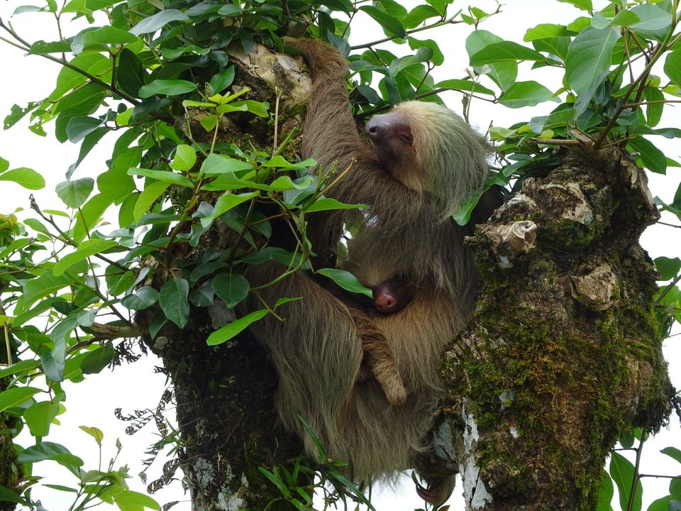 The best 5 reasons to visit Costa Rica in May and June Costa Rica